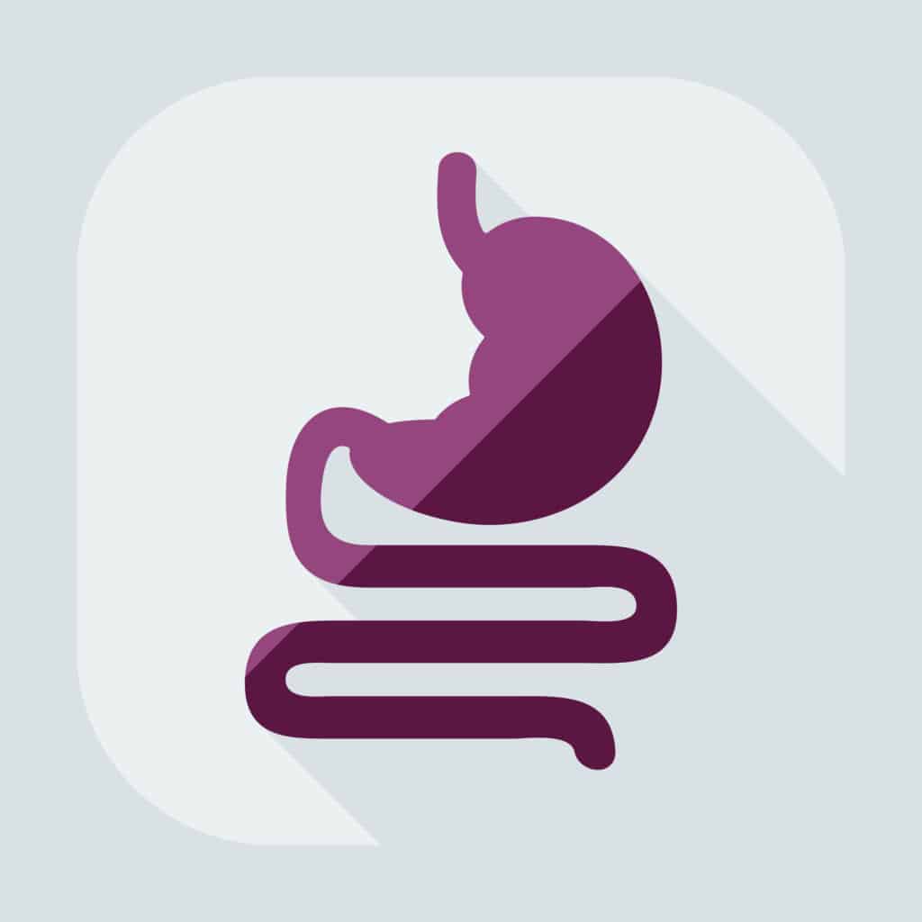 Postpartum Digestive Issues