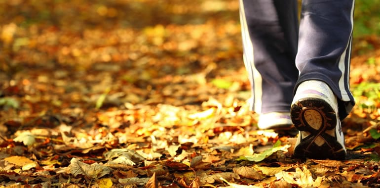 A Walk in the Woods is the Prescription: 3 Ways Contact with Nature Improves Your Health